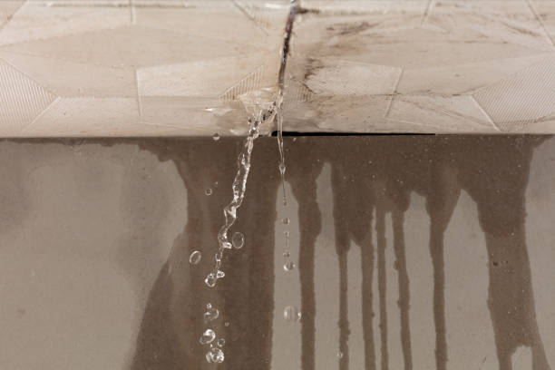 Professional Water Damage Repair technician working in Alpine, NJ